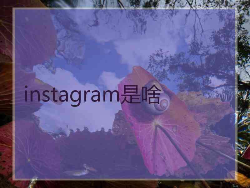 instagram是啥 instagram是啥