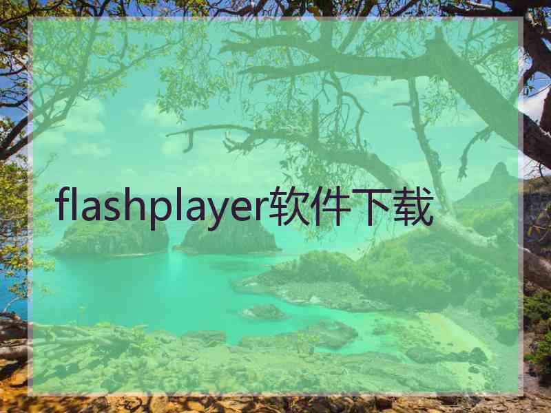 flashplayer软件下载 flashplayer软件下载