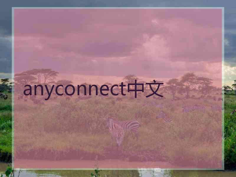 anyconnect中文 anyconnect中文