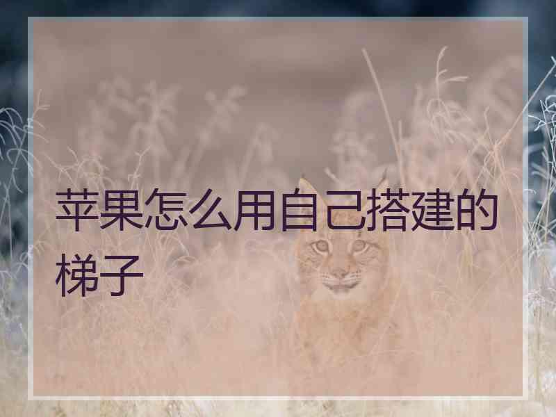 苹果怎么用自己搭建的梯子 苹果怎么用自己搭建的梯子