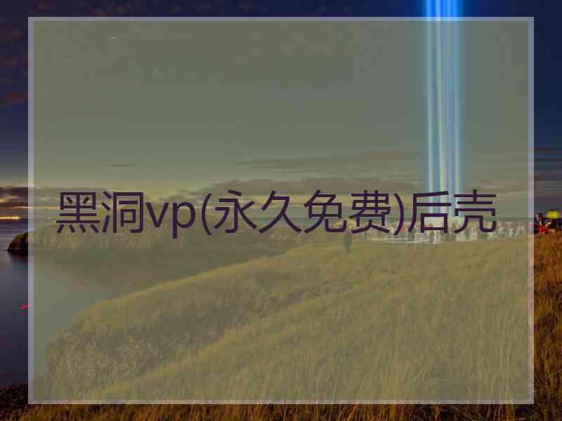 黑洞vp(永久免费)后壳 黑洞vp(永久免费)后壳