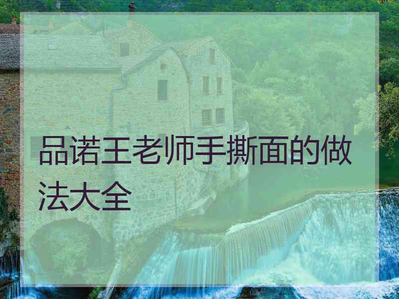 品诺王老师手撕面的做法大全 品诺王老师手撕面的做法大全