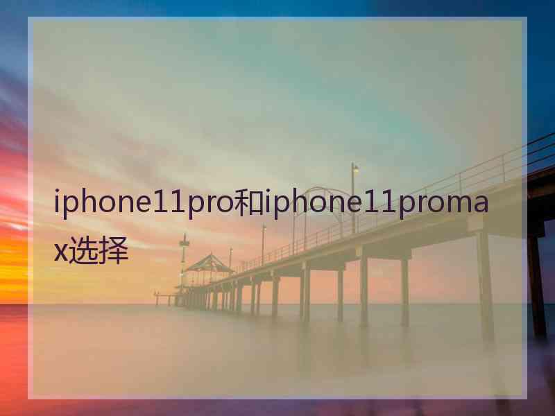iphone11pro和iphone11promax选择 iphone11pro和iphone11promax选择
