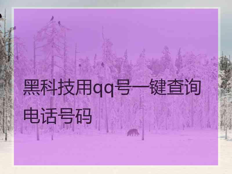 黑科技用qq号一键查询电话号码 黑科技用qq号一键查询电话号码