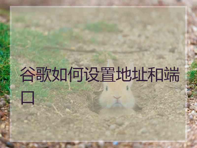 谷歌如何设置地址和端口 谷歌如何设置地址和端口