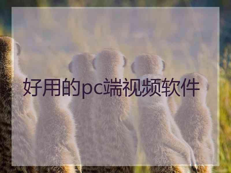 好用的pc端视频软件 好用的pc端视频软件