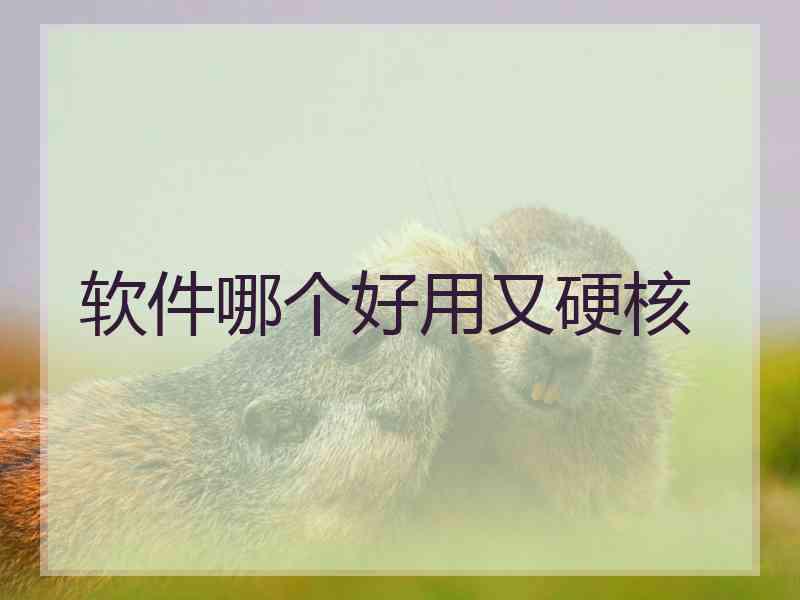 软件哪个好用又硬核 软件哪个好用又硬核