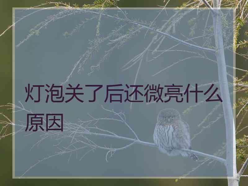 灯泡关了后还微亮什么原因 灯泡关了后还微亮什么原因