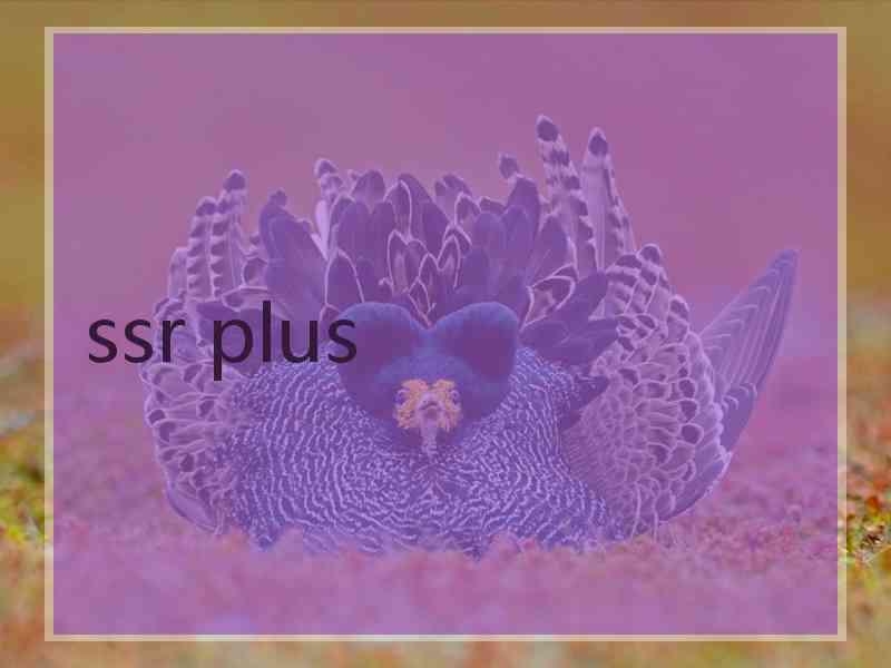 ssr plus ssr plus