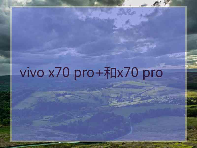 vivo x70 pro+和x70 pro vivo x70 pro+和x70 pro