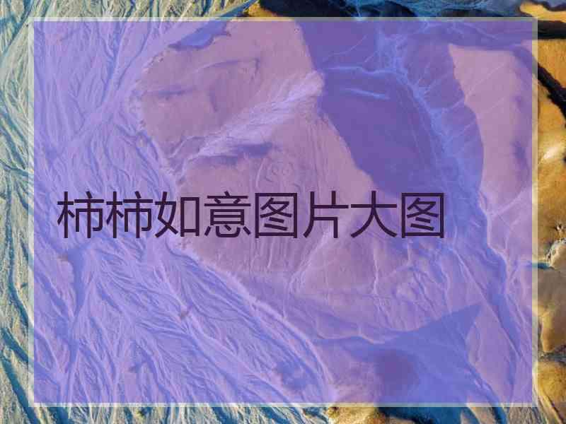 柿柿如意图片大图 柿柿如意图片大图
