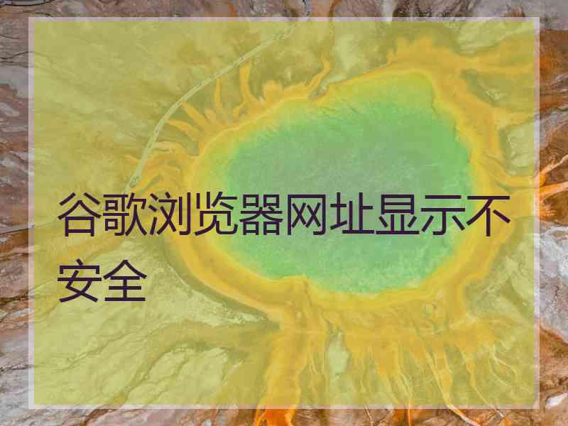 谷歌浏览器网址显示不安全 谷歌浏览器网址显示不安全