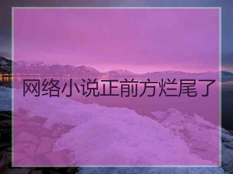网络小说正前方烂尾了