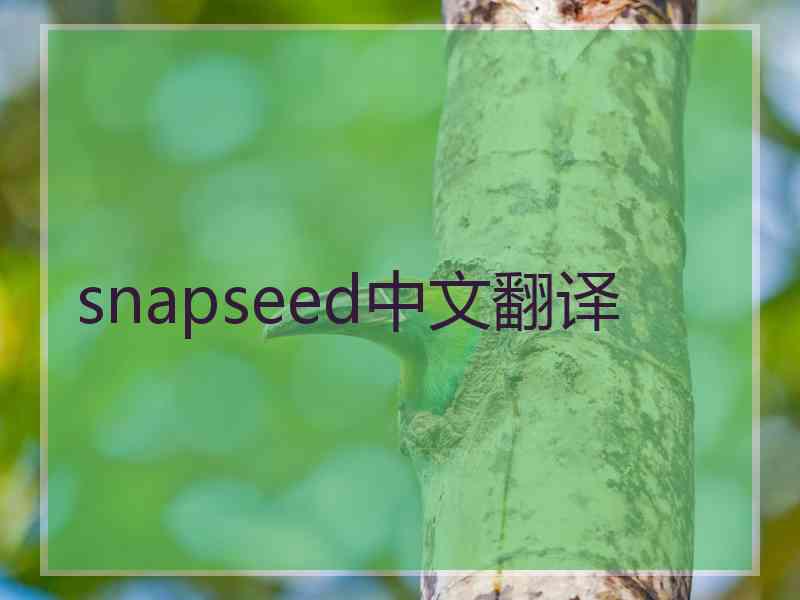 snapseed中文翻译
