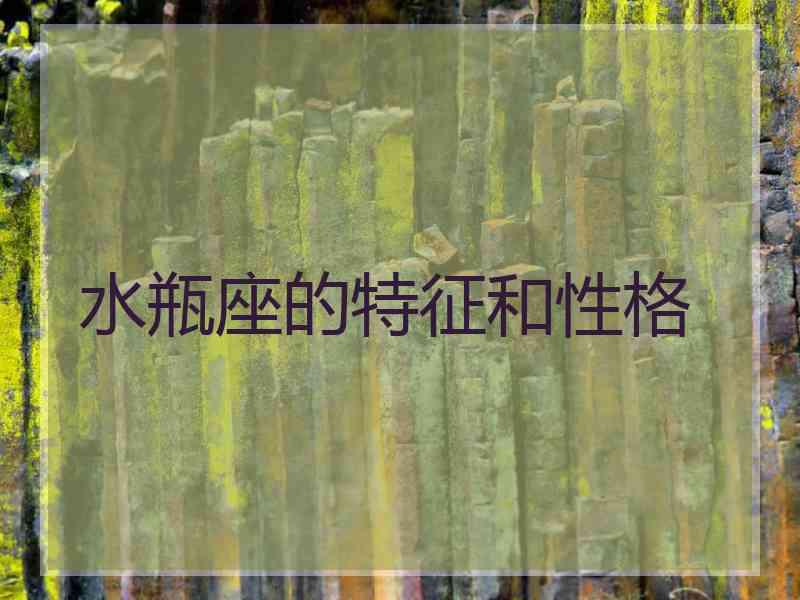 水瓶座的特征和性格