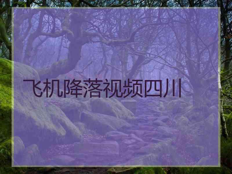 飞机降落视频四川