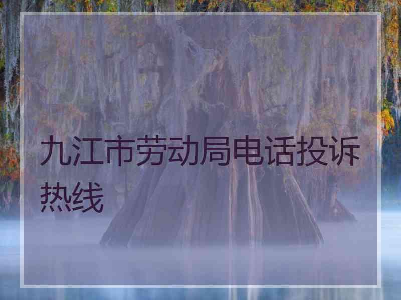 九江市劳动局电话投诉热线