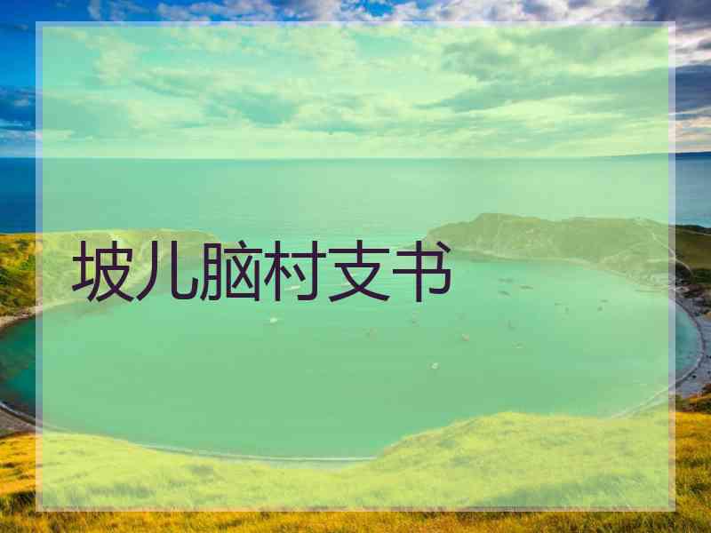 坡儿脑村支书