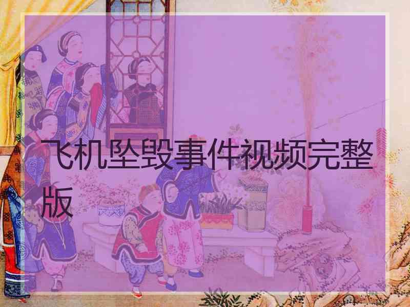 飞机坠毁事件视频完整版