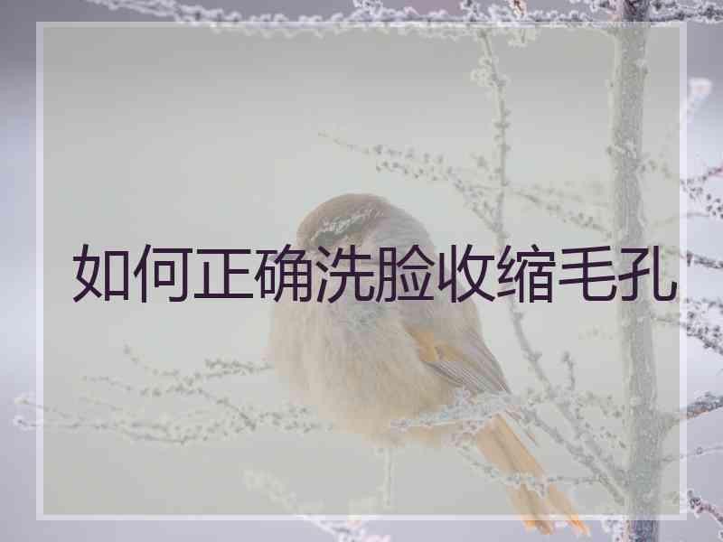 如何正确洗脸收缩毛孔