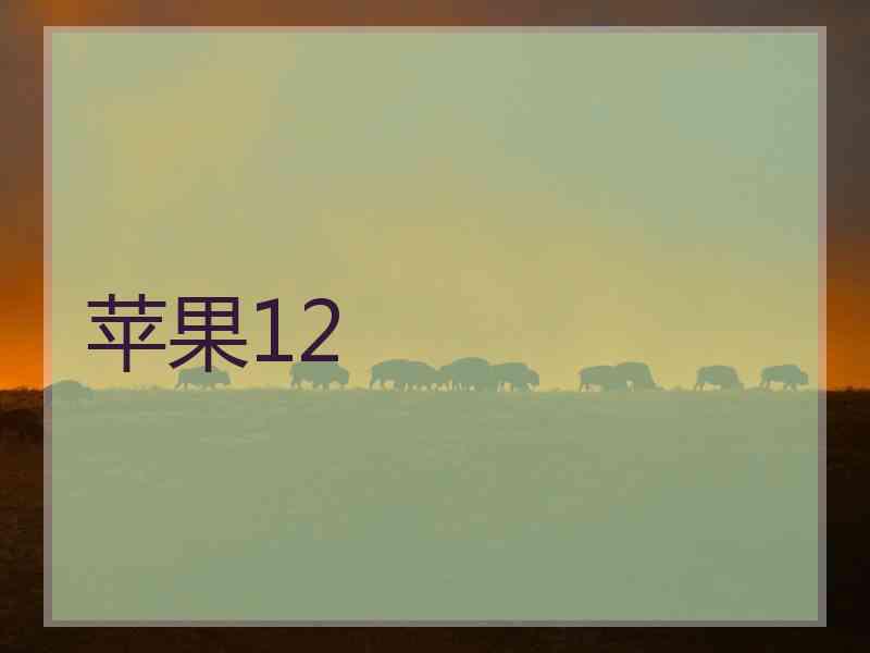 苹果12
