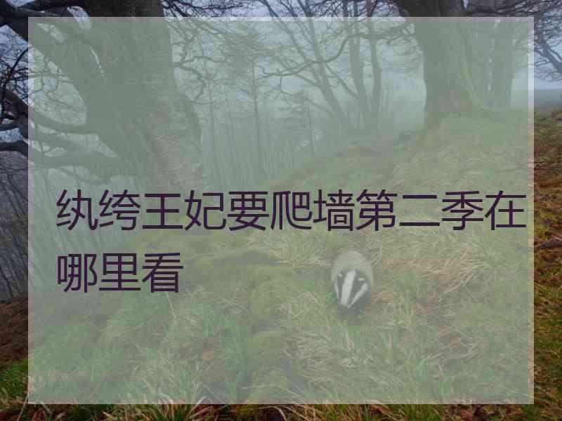 纨绔王妃要爬墙第二季在哪里看