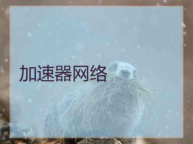 加速器网络