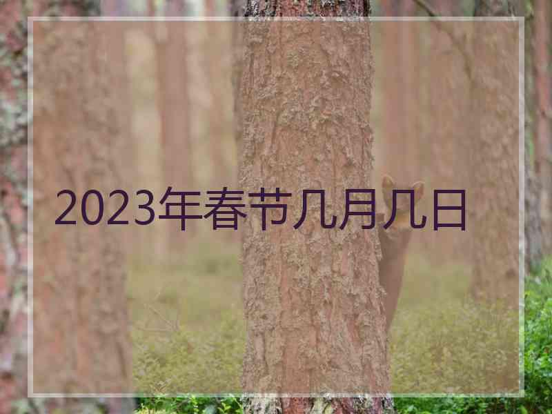 2023年春节几月几日