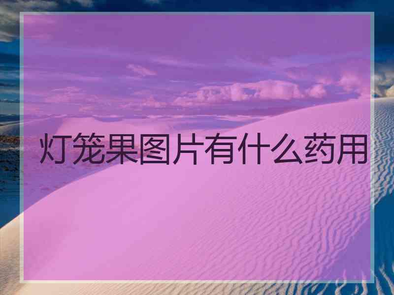 灯笼果图片有什么药用