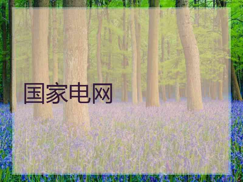 国家电网