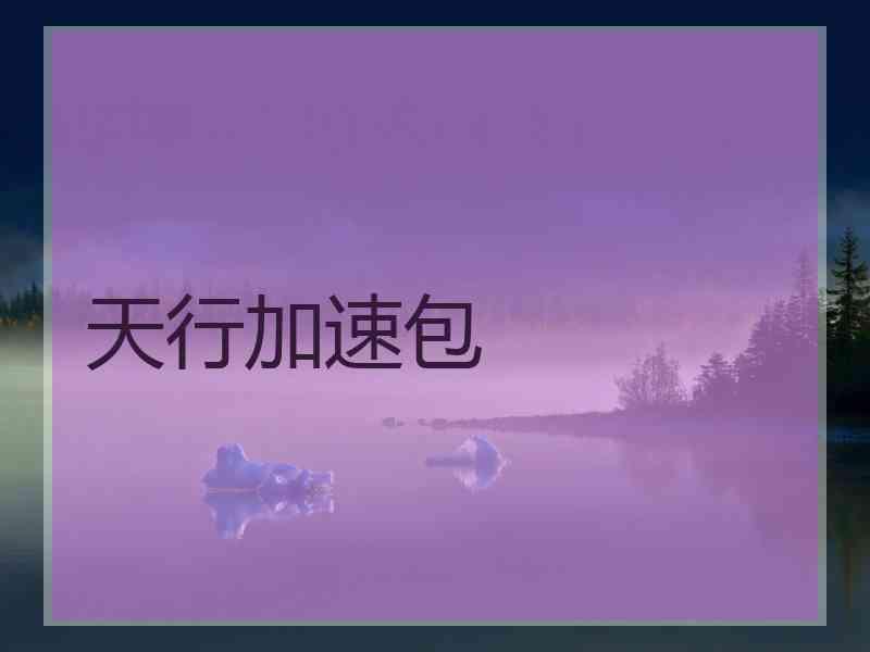 天行加速包