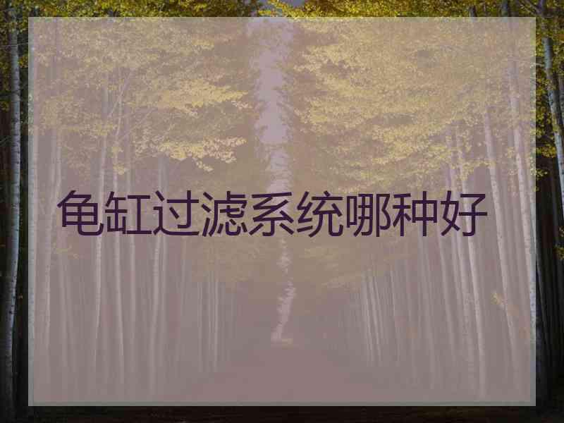 龟缸过滤系统哪种好