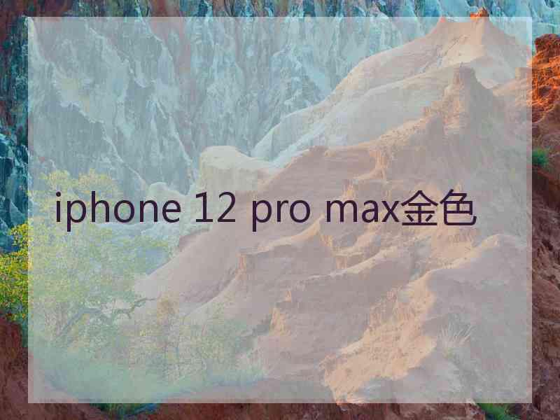 iphone 12 pro max金色