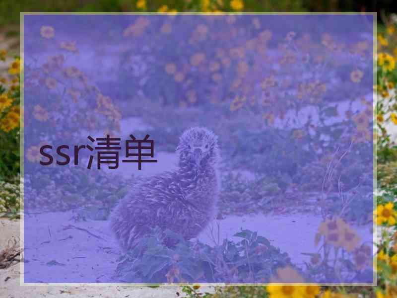 ssr清单