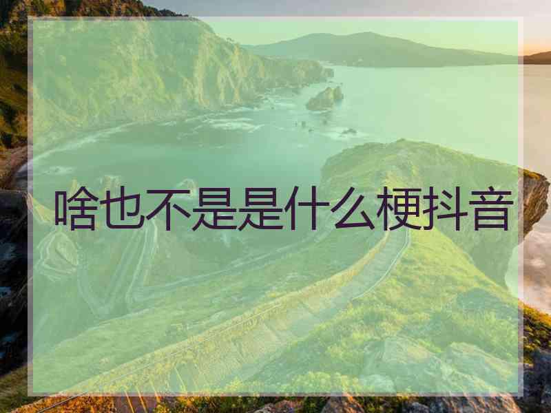 啥也不是是什么梗抖音