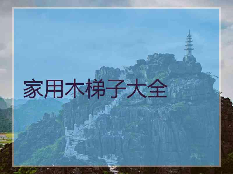 家用木梯子大全