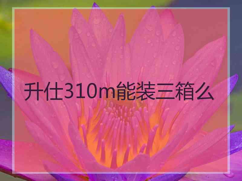升仕310m能装三箱么