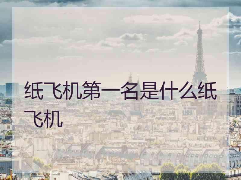 纸飞机第一名是什么纸飞机