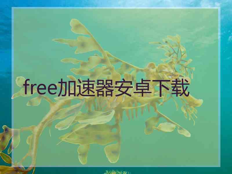 free加速器安卓下载