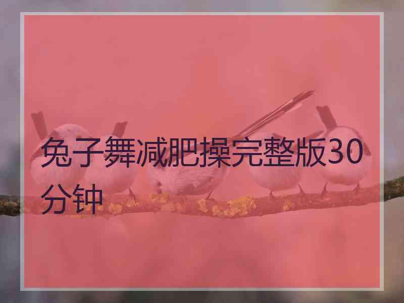兔子舞减肥操完整版30分钟