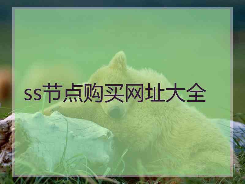 ss节点购买网址大全