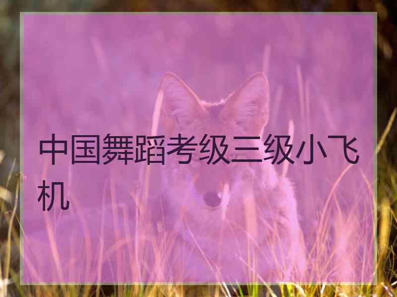 中国舞蹈考级三级小飞机