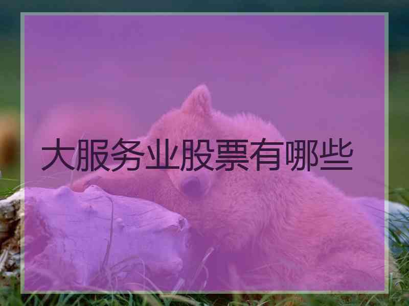 大服务业股票有哪些