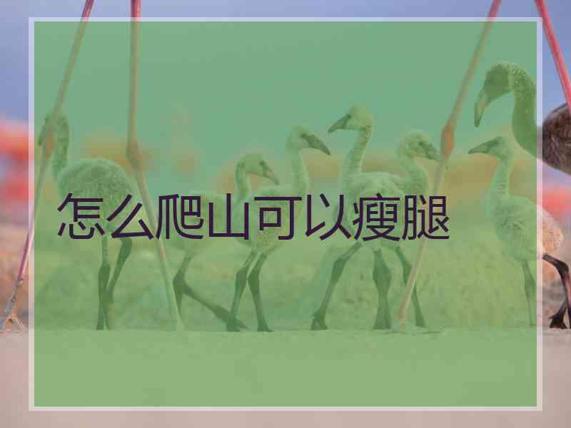 怎么爬山可以瘦腿