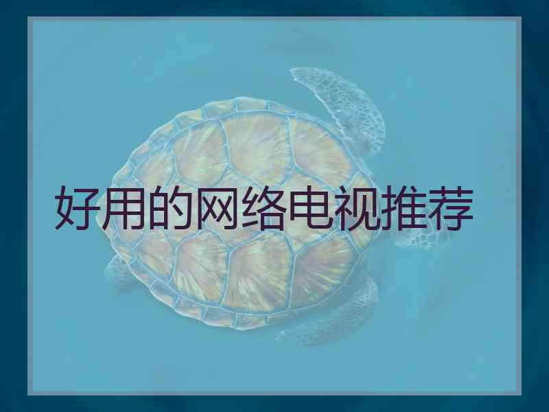 好用的网络电视推荐