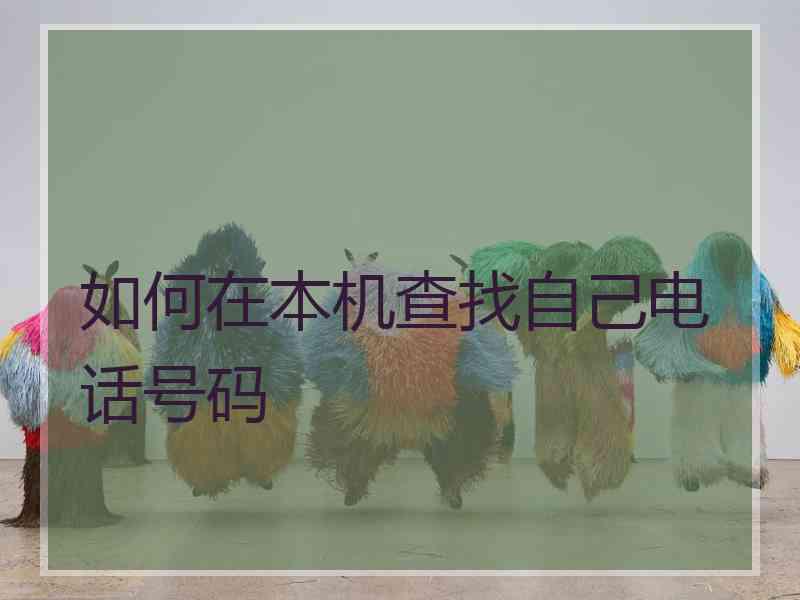 如何在本机查找自己电话号码