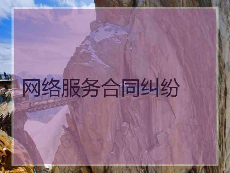 网络服务合同纠纷