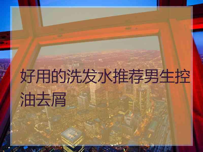 好用的洗发水推荐男生控油去屑