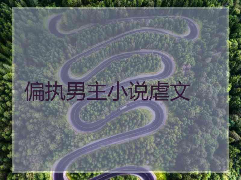 偏执男主小说虐文