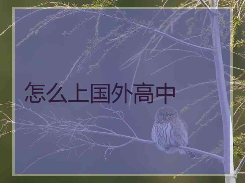 怎么上国外高中